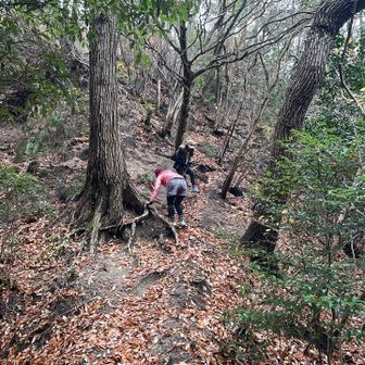 もう少しピーク取るので激下ってます💦ホントはもう1座先にあったのですが、タイムオーバーなので諦めました。