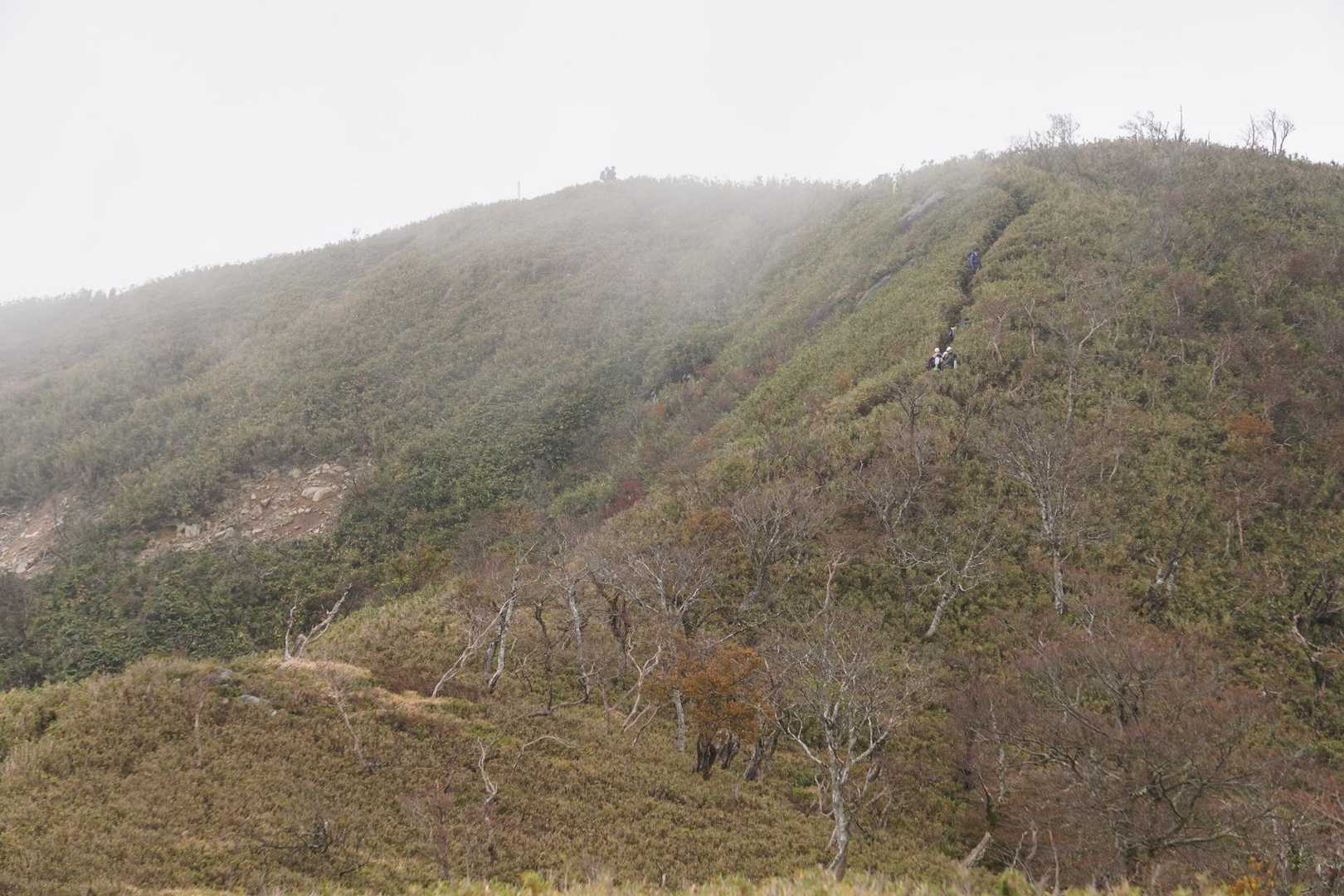 まだガスガスだけど、あの上が雨乞岳⛰️