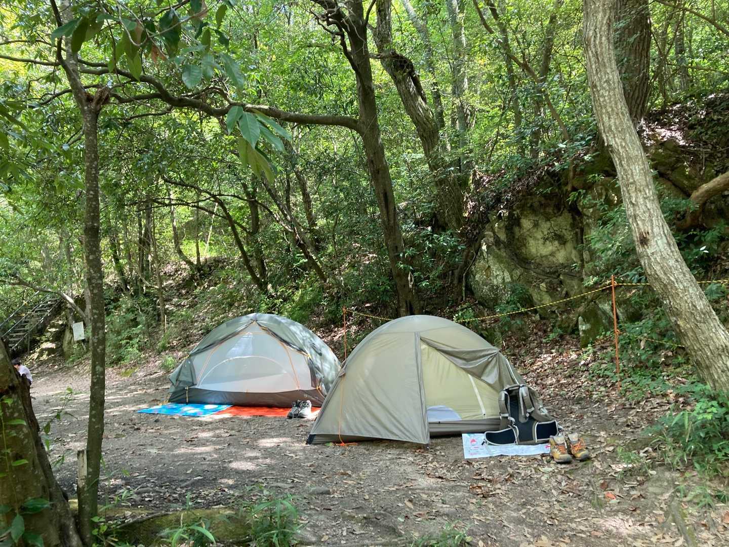 テントも張りました⛺️