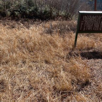 登山口近くまで戻ってきました。
