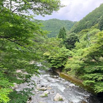 おはようございます😊
新緑が美しくて、爽やかな朝です。
でも10時💦
