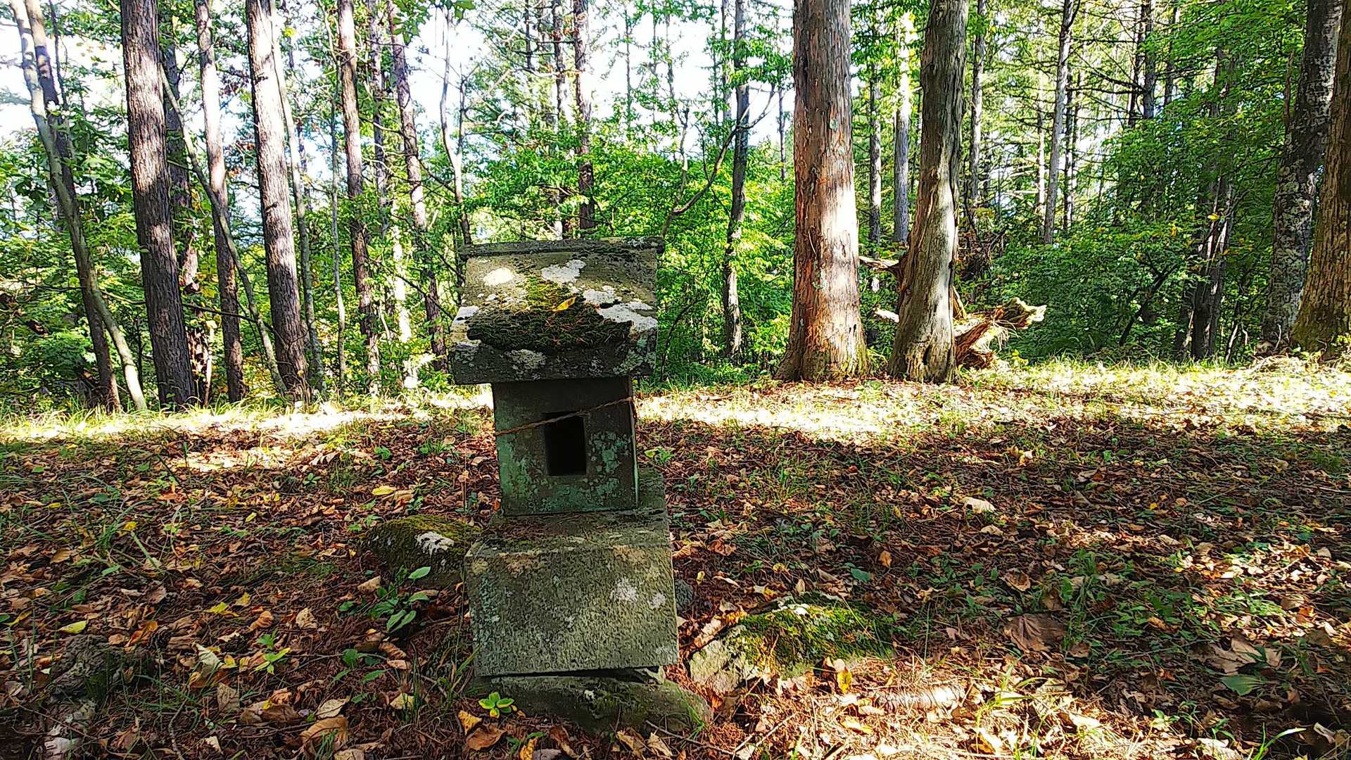 祠があり、きれいに整備されています。地元の方が手を入れているのでしょう。