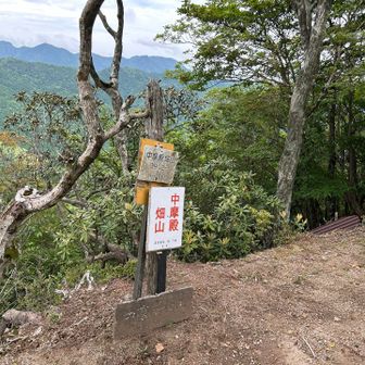 中魔さん家の畑があったのかな？
まさかね🙉