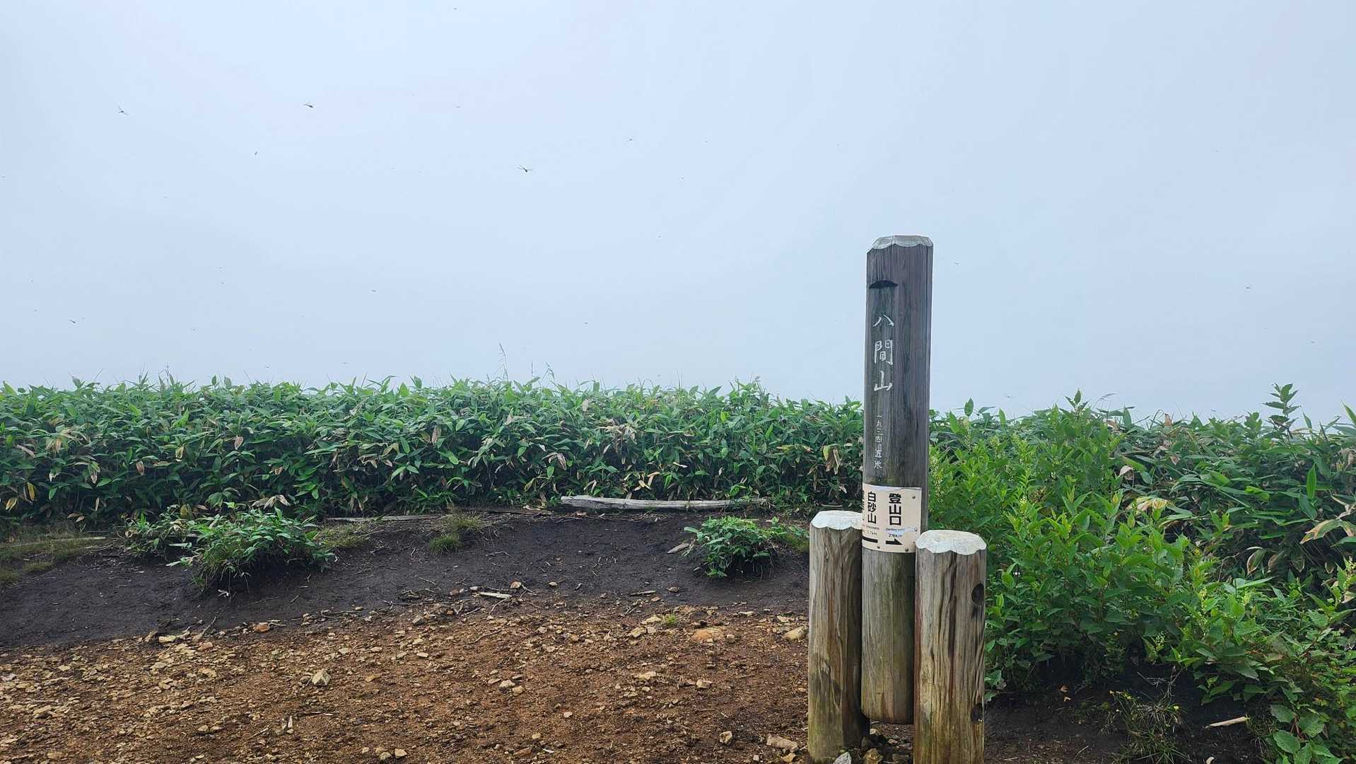 山頂は、雲の中