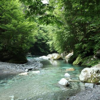 この河原は無限に居られた