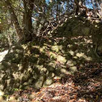 陽の光でわかりにくいが、たくさんの仏様