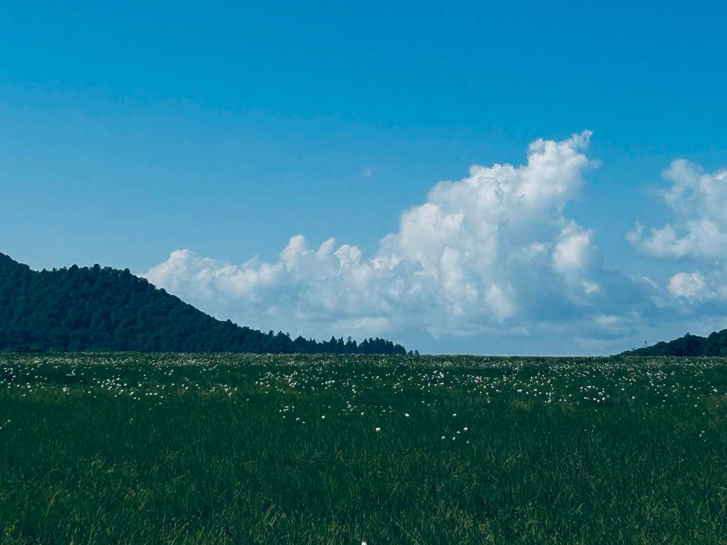 地平線て、日本で見れるんだね
