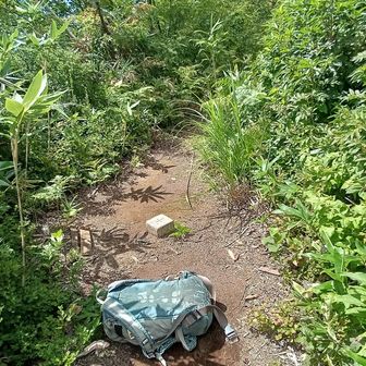 三等三角点がある上八石山
これが新規の山ちょうど5000座目✌変な山に当たったな、立派な標識でもあればいいけど😅