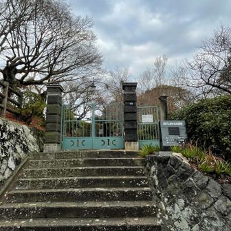 開いてなかった、、、