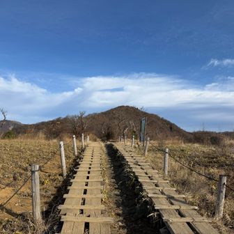 いつもの滑走路✈️
天気が良いと気持ち良いね
