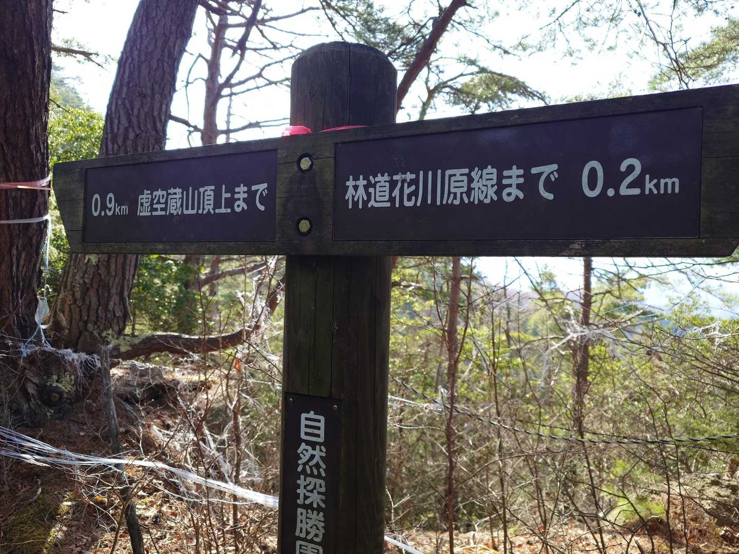 虚空蔵山西登山口-祠-虚空蔵山 往復コースの写真