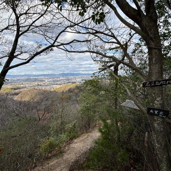 少しずつぐだってます。