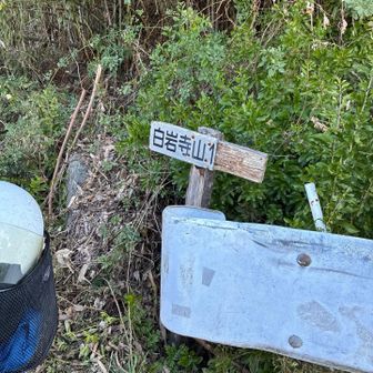 ここから登ります。
ちょっと見つけにくい💦