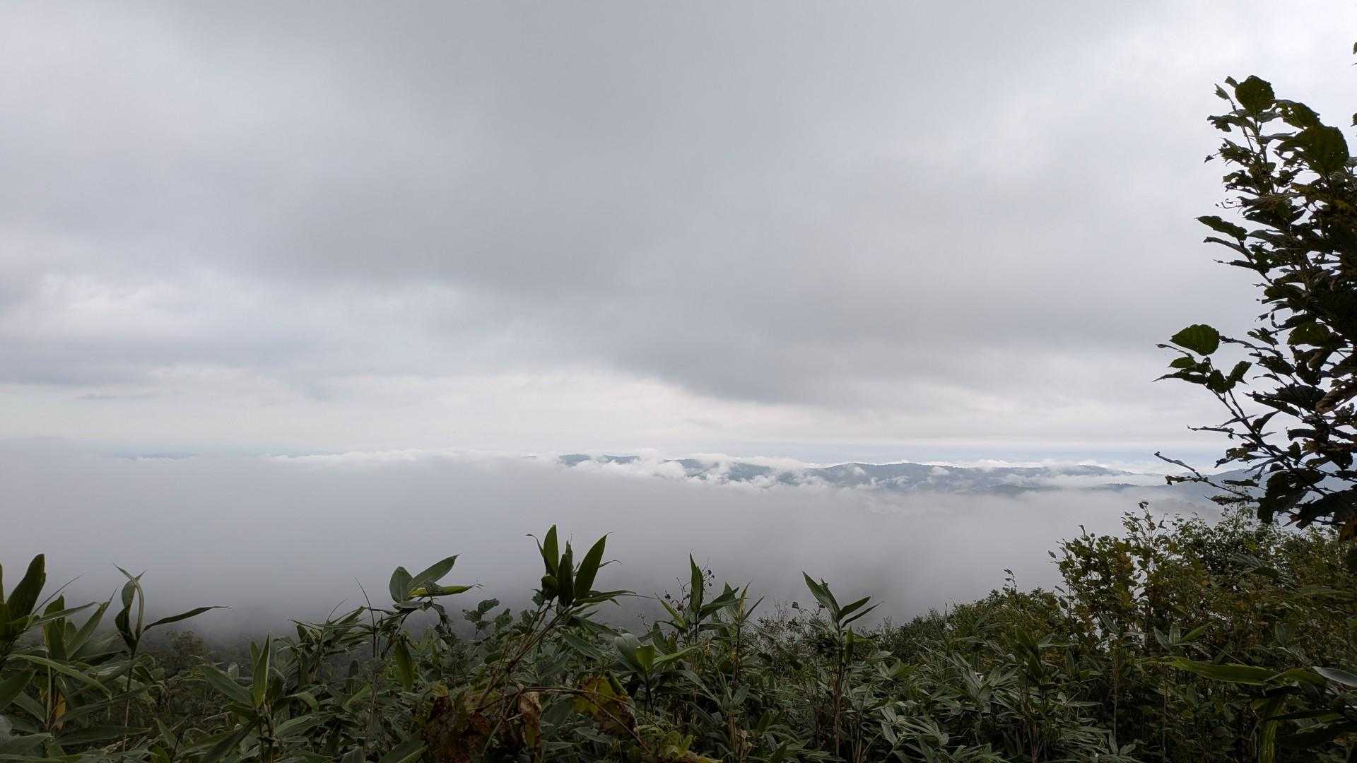三頭山 往復コースの写真