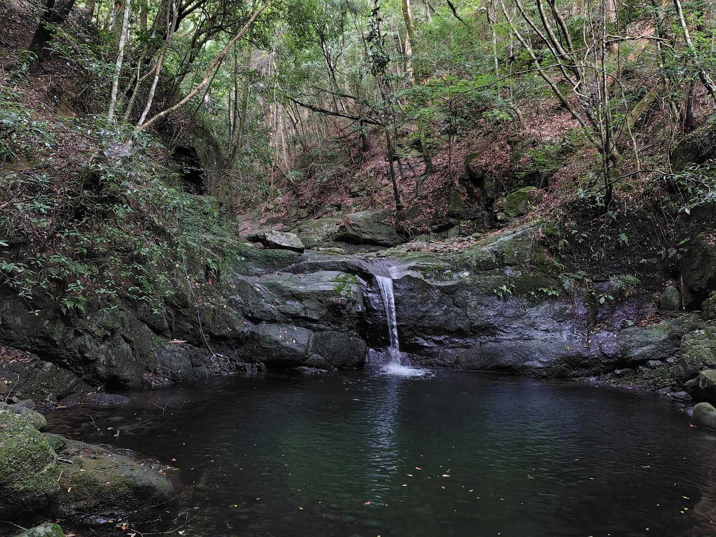 七宝龍寺本堂-経塚権現山登り口-経塚権現山 往復コースの写真