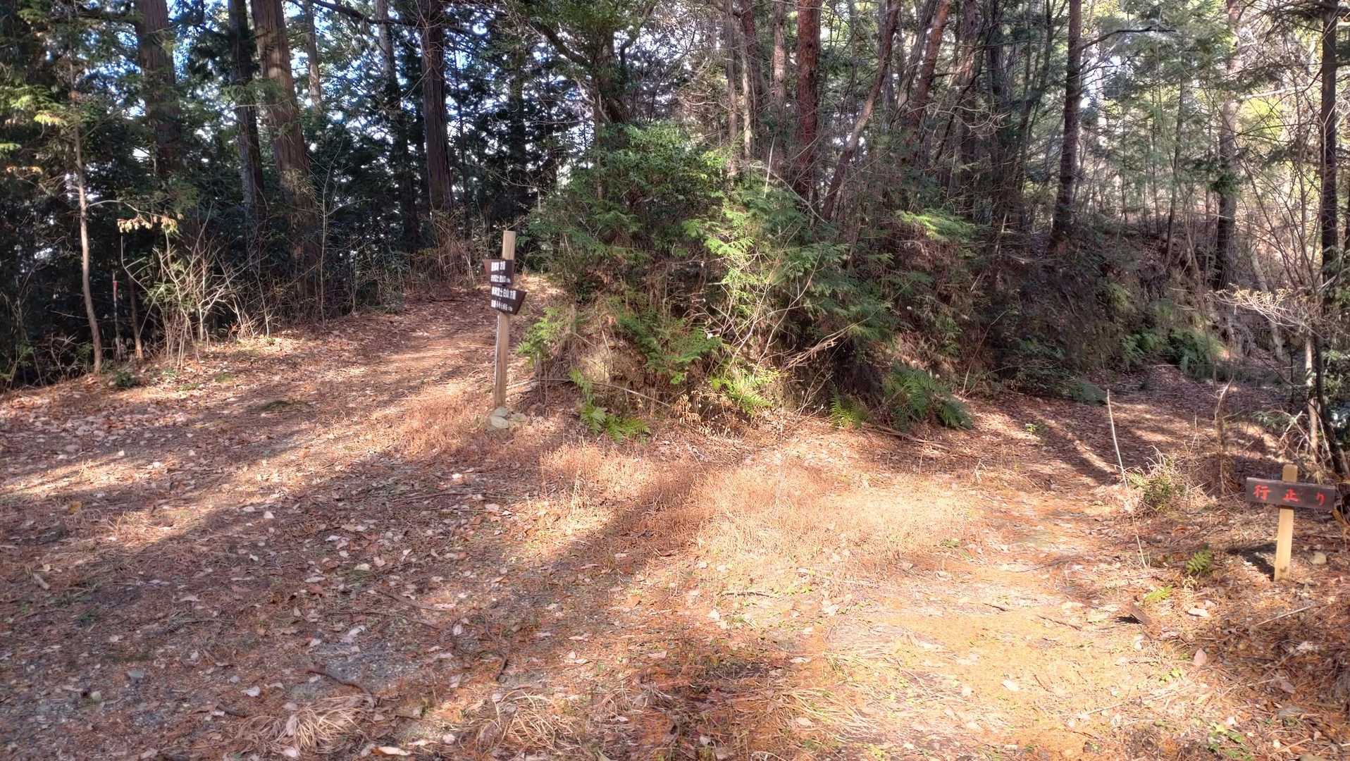 右の林道は行き止まりとの事🚧