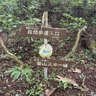 雷山にスキー場？

雪降らないんで、やってられないでしょ