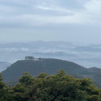 雨の景色☔