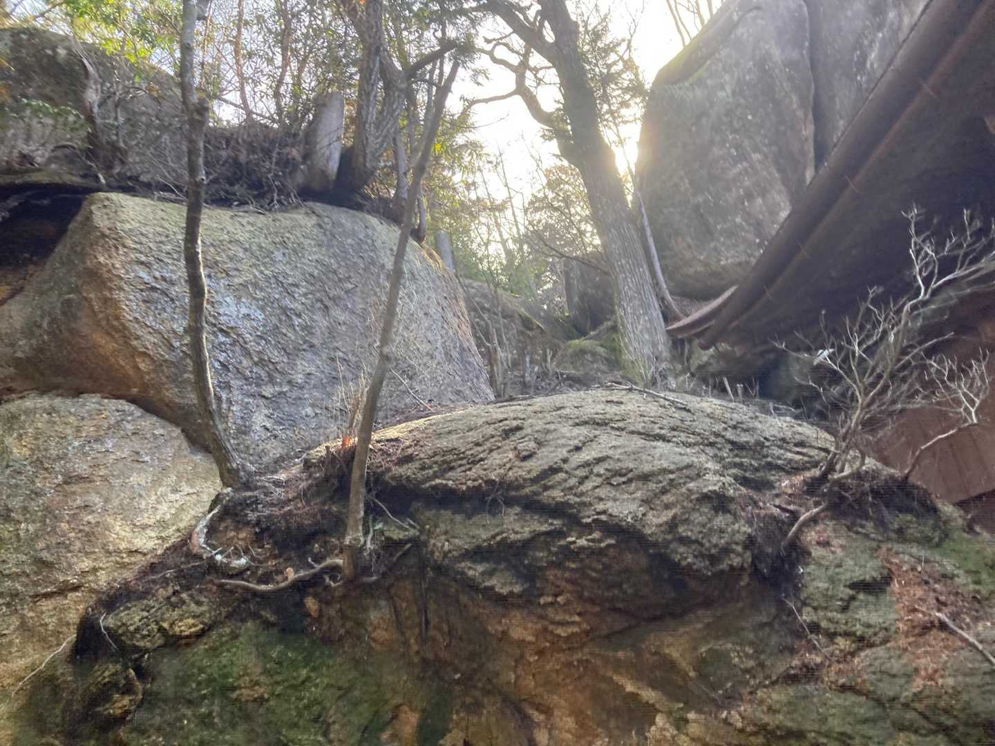 不動寺-太神山 往復コースの写真