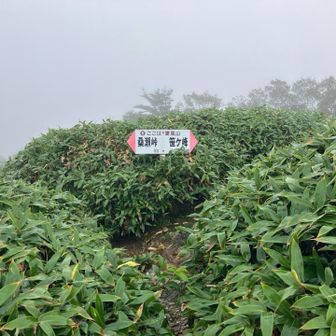 休憩しないで笹ヶ峰に進みます