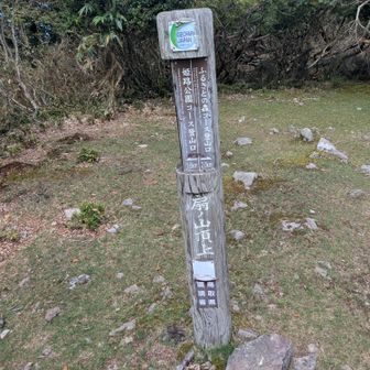 降ります😊