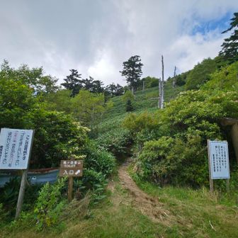 休憩を終え、夕方に合わせこちらから登った。