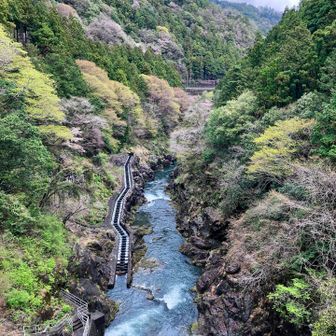 ダムからの眺め