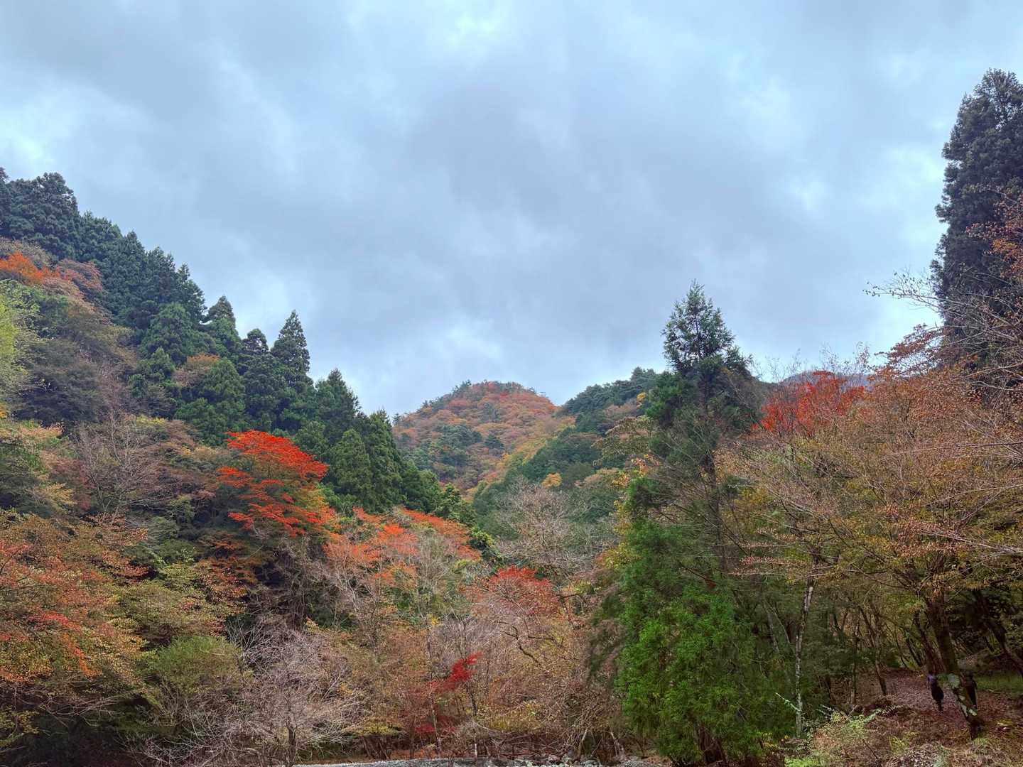 鍋割山 往復コースの写真