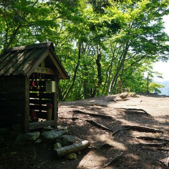 三ノ峠山　頂上