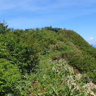 あそこが本命の杢蔵山の頂きでした・・・