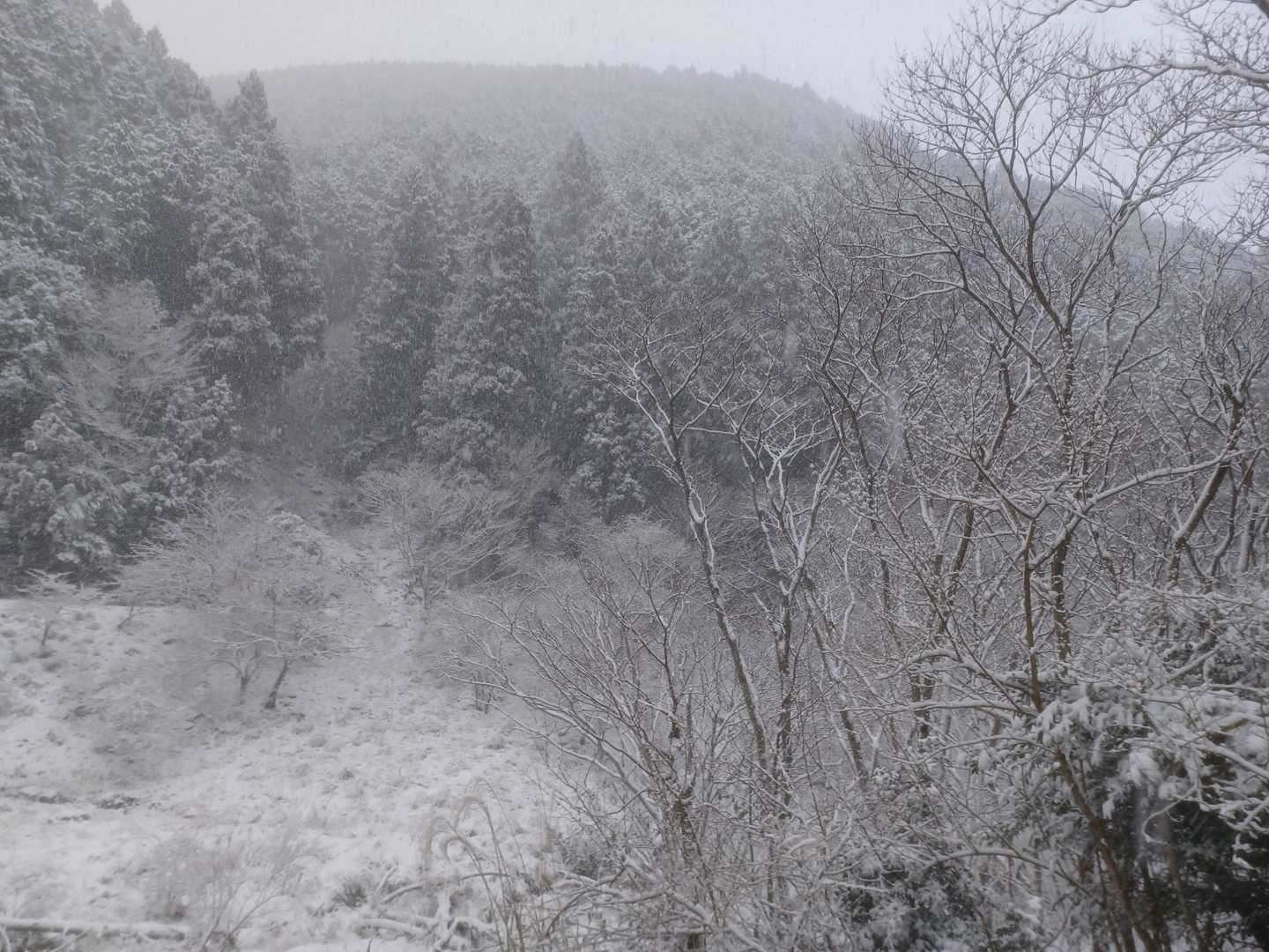 結構降ってます。
先行者は1名、足跡も消えかかってます🎵