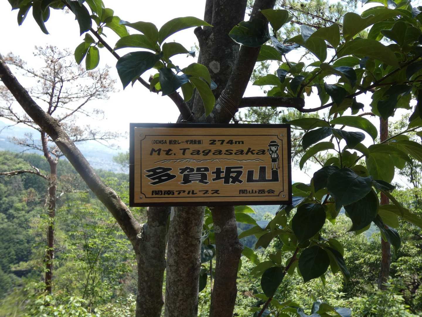 多賀坂山　とうちゃこ
この先でお腹がゴロゴロ言い出してきました