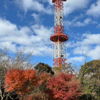 真っ赤な紅葉😡