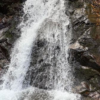 滝壺近くまで降りました💦
深さは無いので、滝行にはもってこいです。
知らんけど。