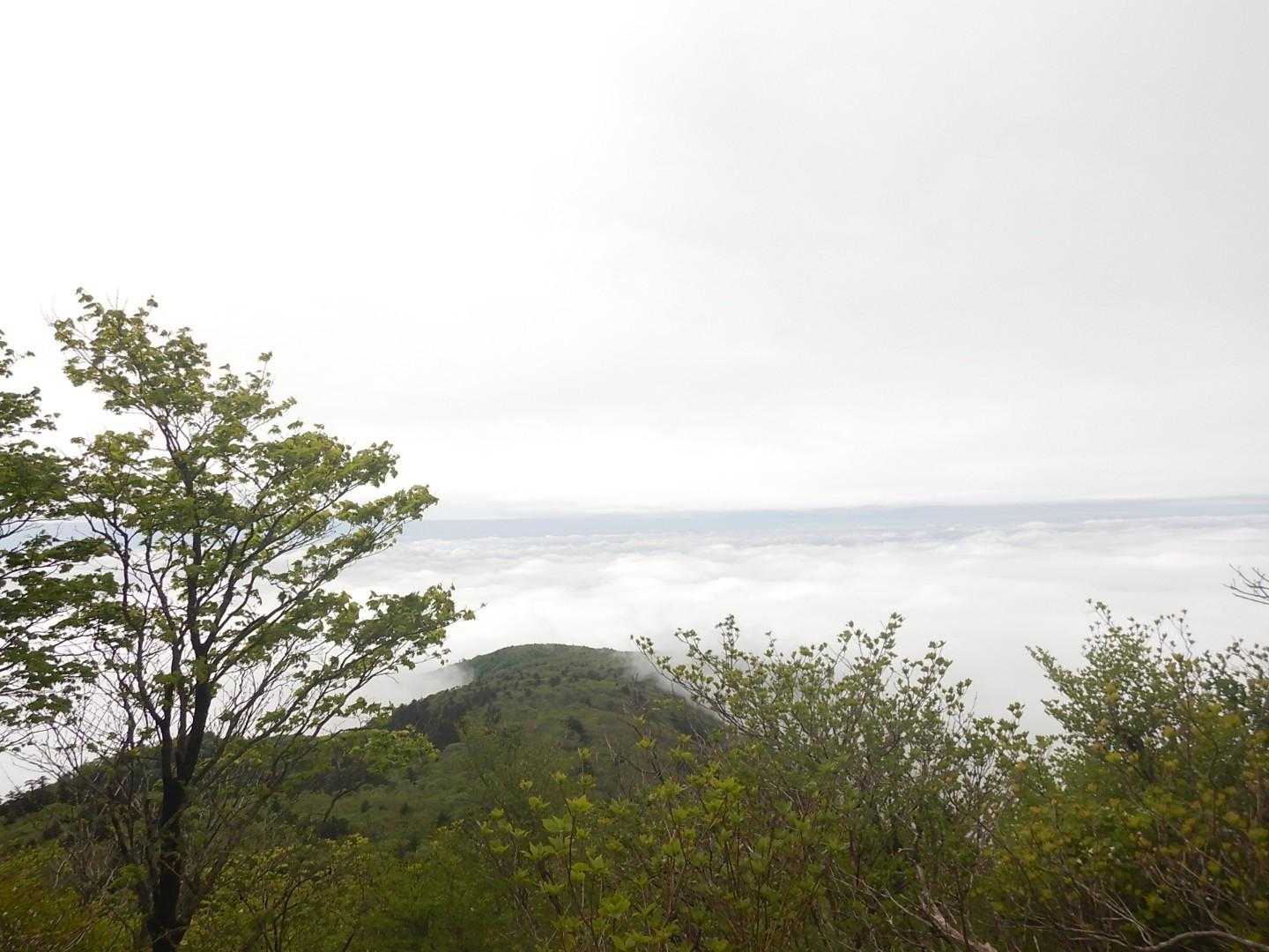 雲海