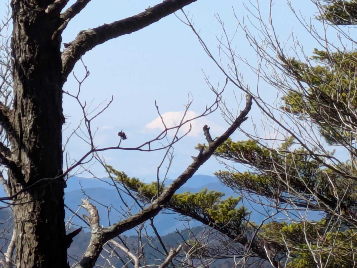 富士山見えました！
山頂までこのままでいて〜