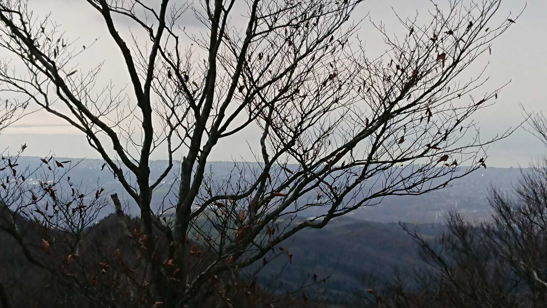 蝦夷松山-雁皮山 往復コースの写真