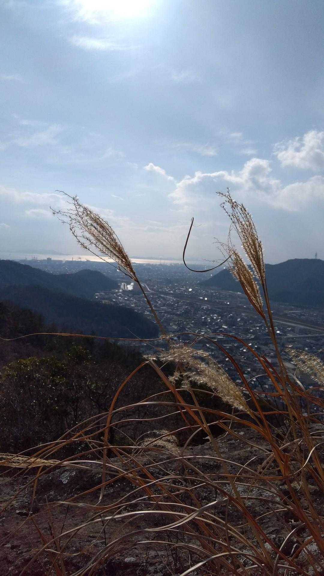 🌞と雲がせめぎあい
今は🌞が勝ち👏👏👏