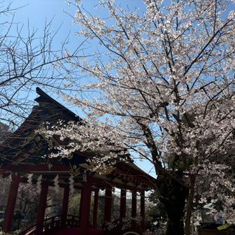 拾い得る物は拾ってきたけど、以前より吸い殻や飴の包装紙のゴミが多かったですね。
ちょっと残念😢