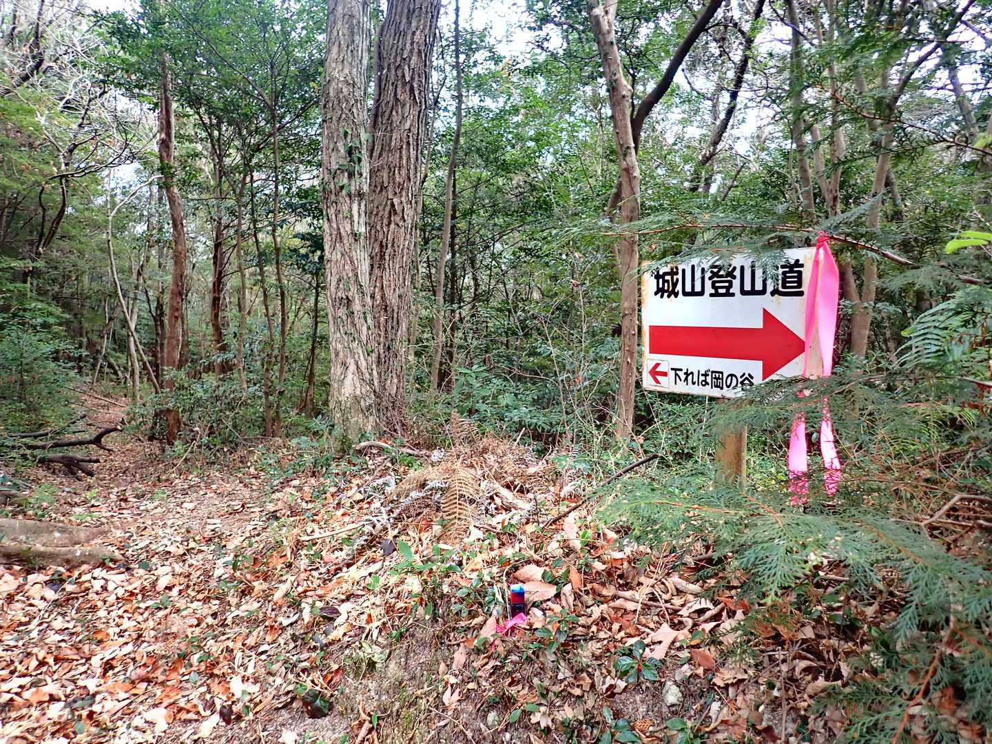さらにここから岡の谷へ。