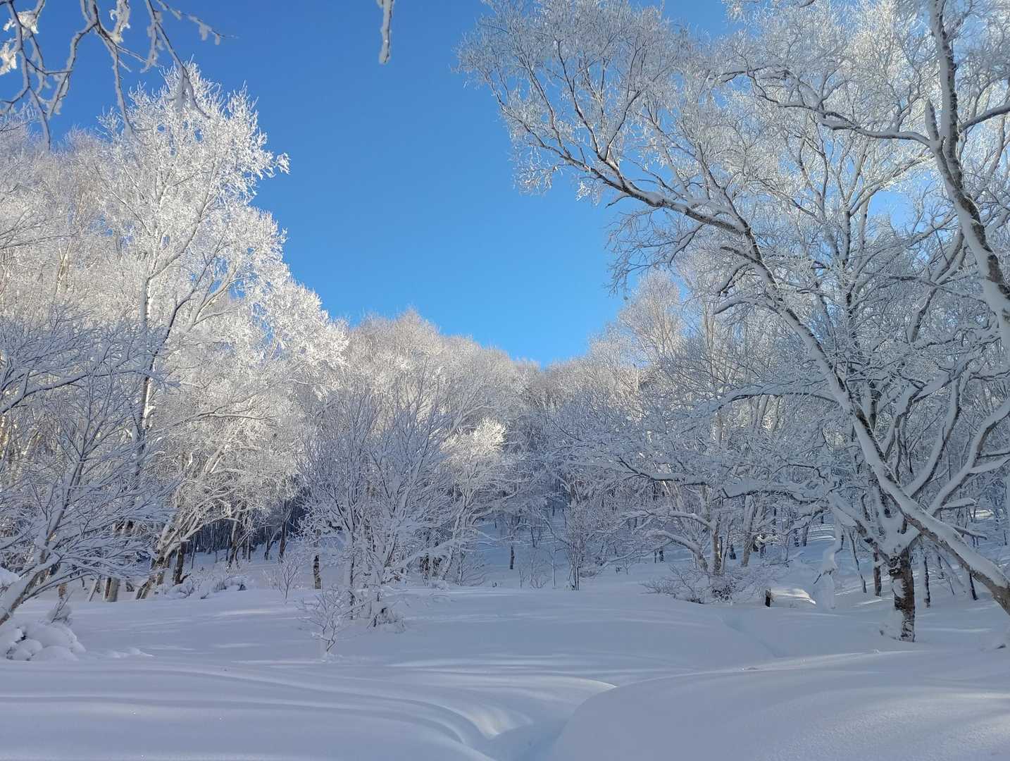 菅平牧場料金所-菅平牧場-四阿山登山口-小四阿-中四阿 往復コースの写真