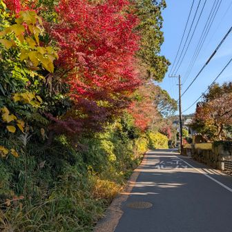 まずは瑞泉寺へ