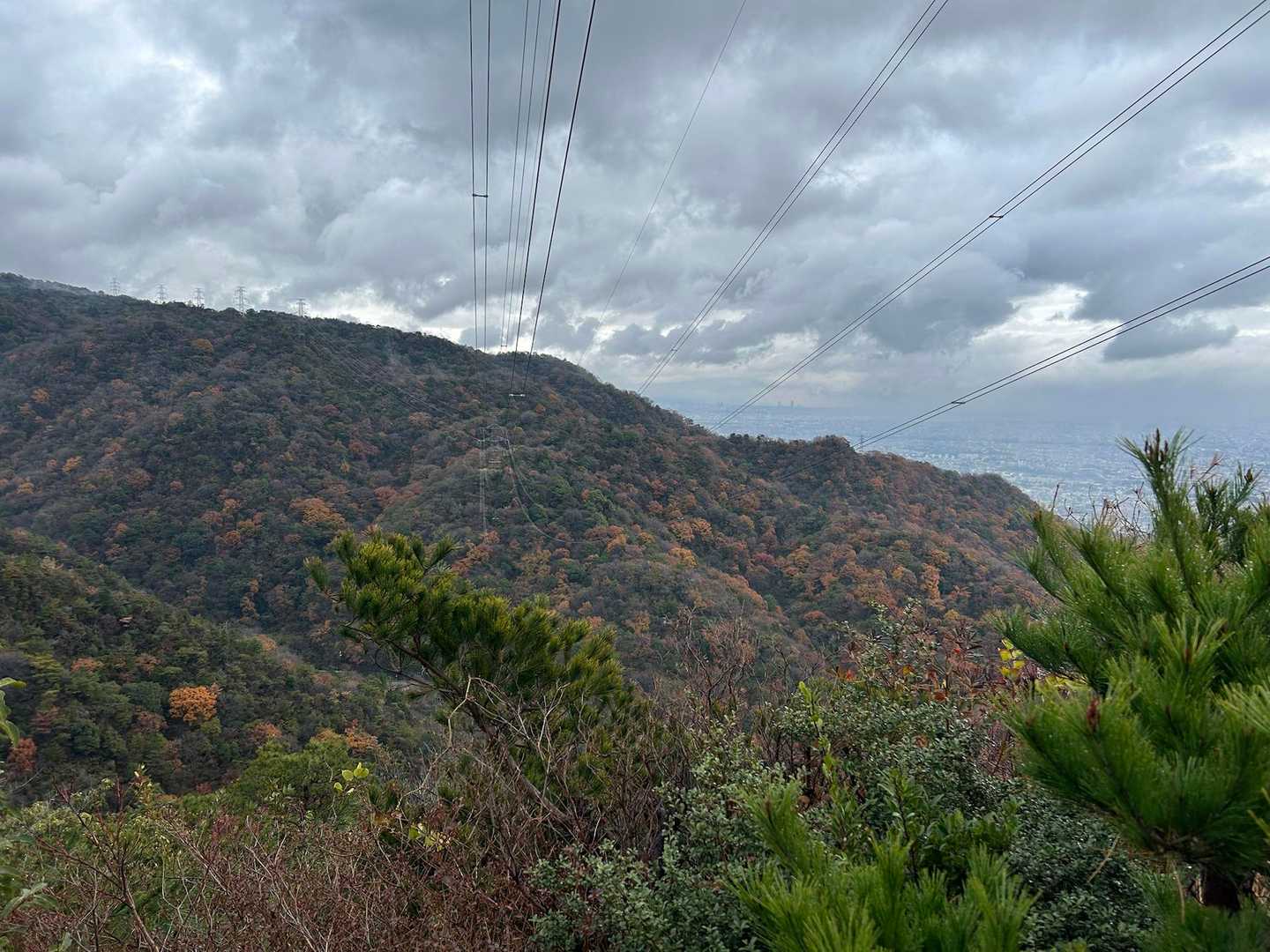 まだ紅葉がきれい🍁