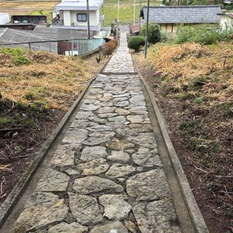 駐車場まで戻ります。

今日は今までで一番順調に歩けました。先週くらいから急に良くなり、痛みもあと少し。やっとここまで来たかぁって感じです。長かったです。
これからも、ストレッチ、トレーニング、メンテナンスを続けて行こうと思います。

Hanaさん、おかげさまでいいお花見ができました。ありがとうございます😊