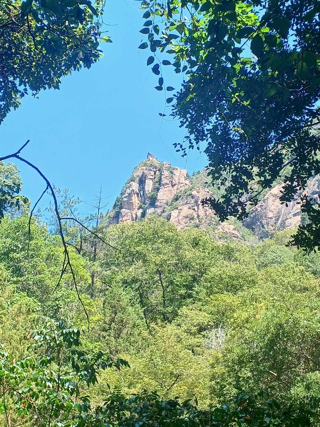 木々の隙間からのぞく、花崗岩の鋭峰✴️
