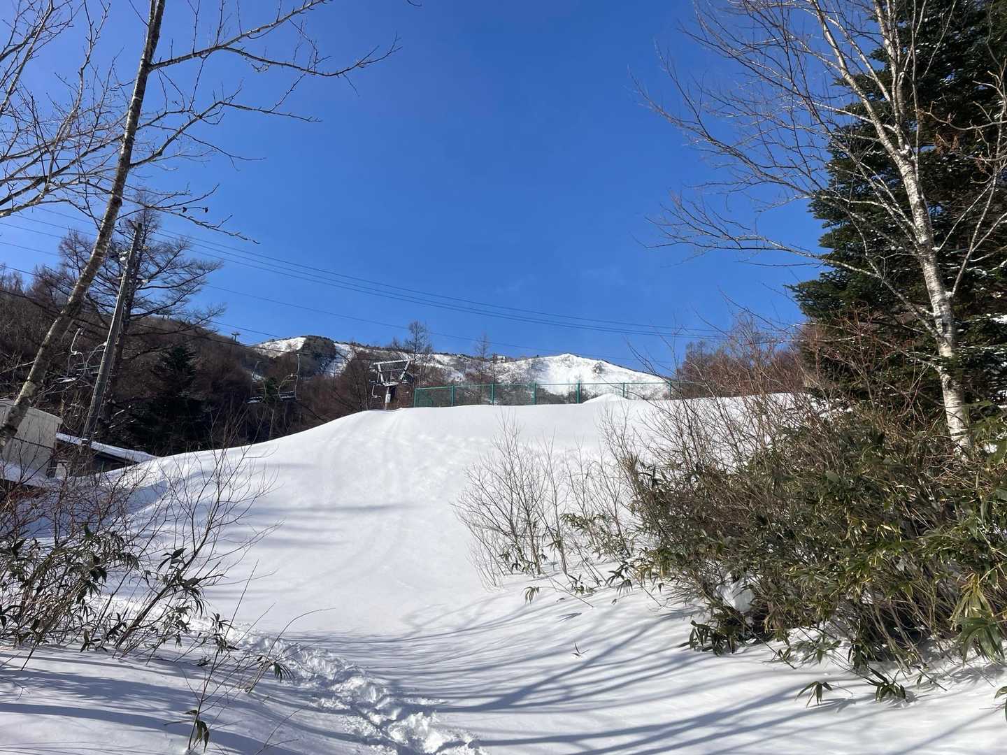 奥岳登山口-薬師岳 往復コースの写真