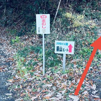 左のいい道に進んで引き返す。
矢印へ進んでください。