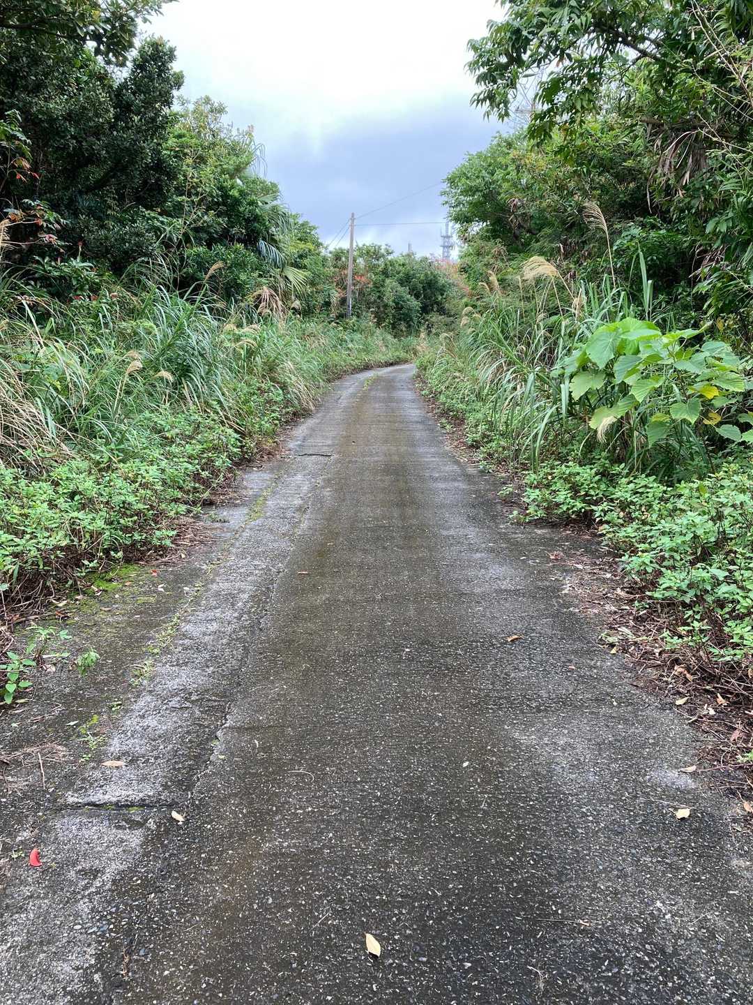 こんな舗装路