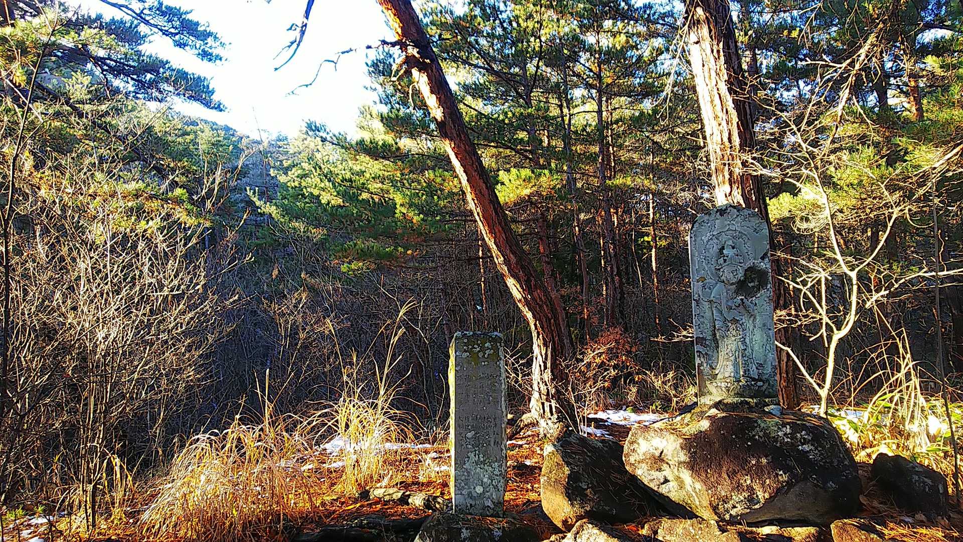 ここに観音山という山があると知ったのもヤマップ始めてからです。