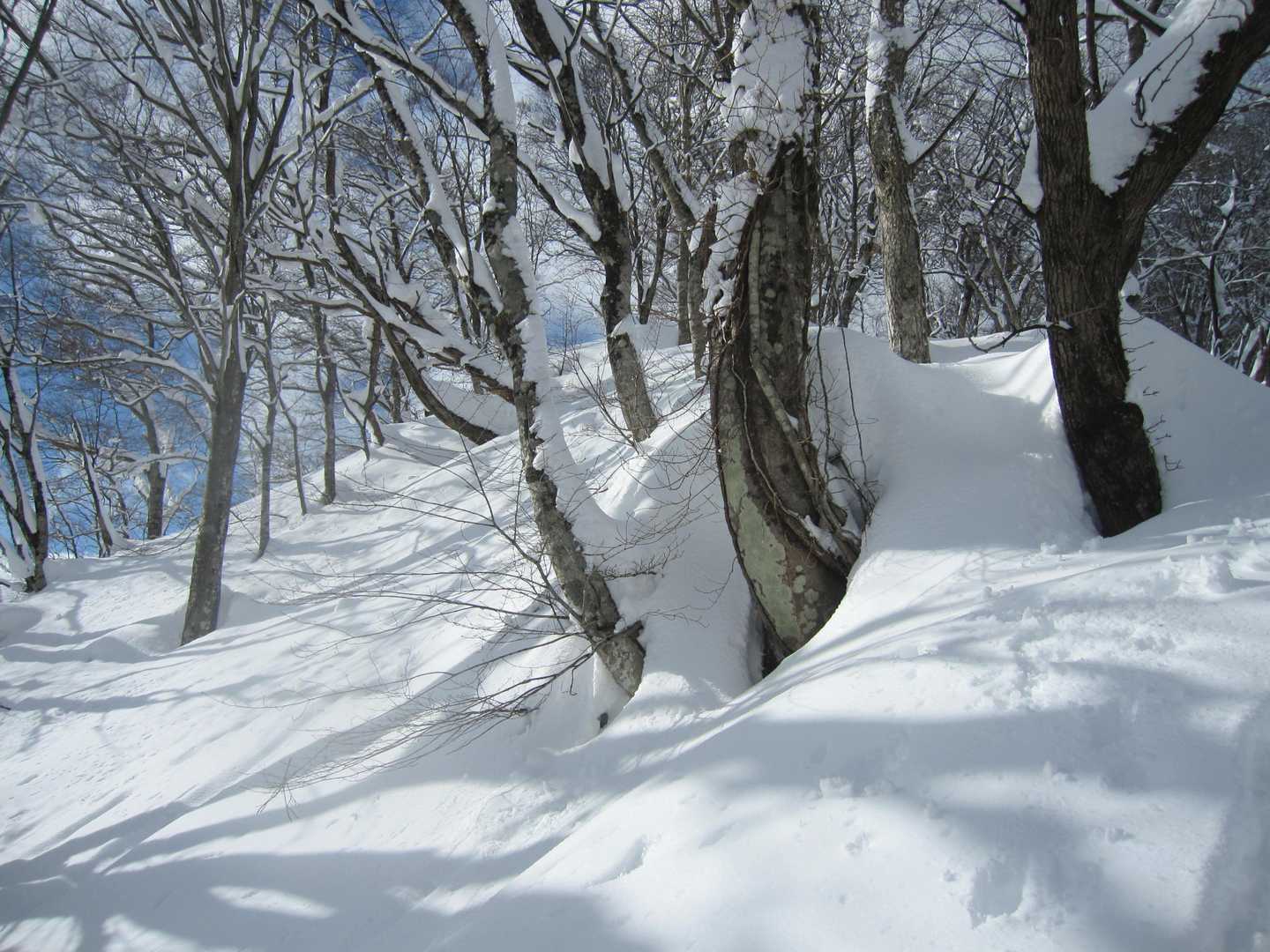 すげー雪🎵